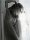 th_38143_714_45814_122_206lo.jpg