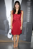 th_20278_KatharineMcPhee09092008MBFWPradapresents03_122_462lo.jpg